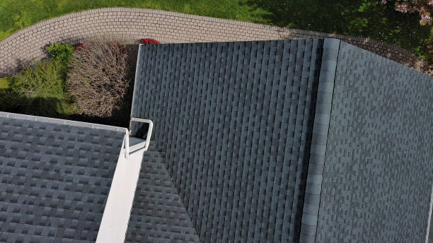 Best Sheet Metal Roofing  in Corrales, NM